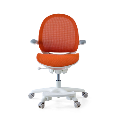 Krzesło ergonomiczne