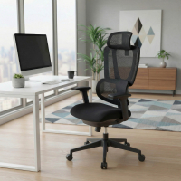 Ergonomiczne krzesło Essenza, podłokietniki 3D, regulowane podparcie lędźwiowe