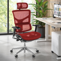Krzesło ergonomiczne Next2,...