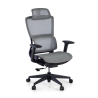 Ergonomiczne krzesło biurowe Balance Pro z podnóżkiem i podłokietnikami 3D