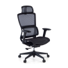 Ergonomiczne krzesło biurowe Balance Pro z podnóżkiem i podłokietnikami 3D